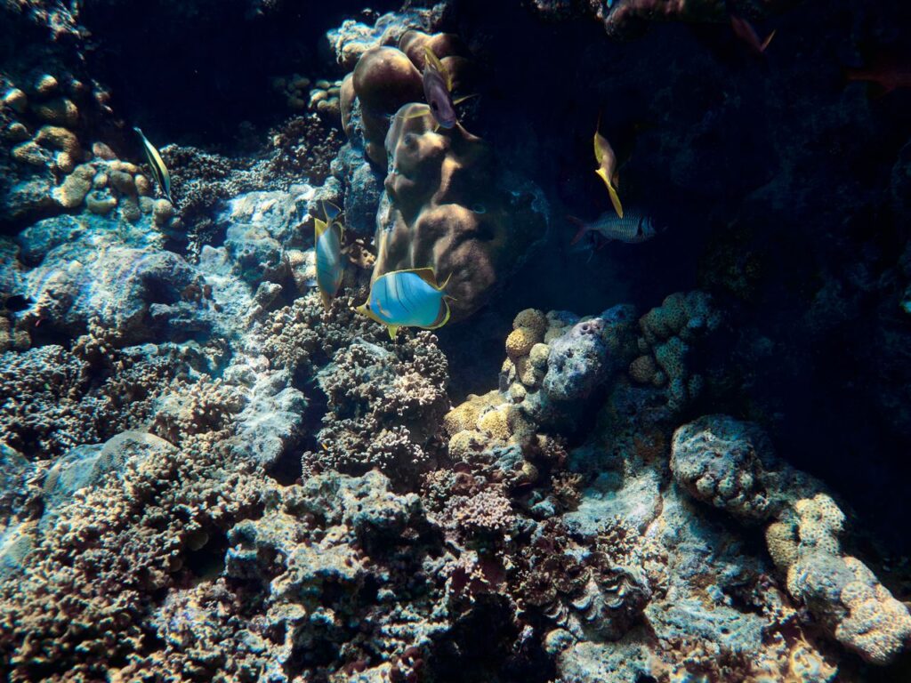 Pexels Photo 6181096 6181096 1024x768